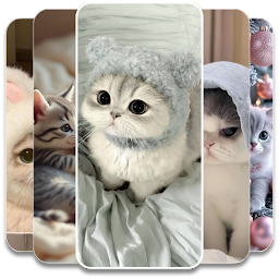 Кошачьи Обои 10.1.25