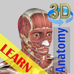 3D Bones and Muscles (Anatomy) 6.1