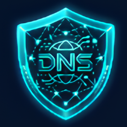 DNS Resolver 3.1.1