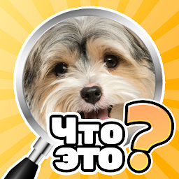 Что это? Викторина 2.8.1