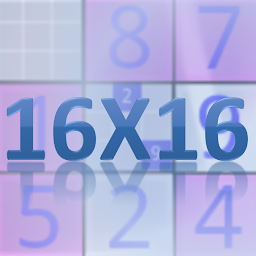 16x16 Sudoku Challenge 3.17