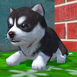 Cute Pocket Puppy 3D 1.23.3