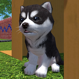 Cute Pocket Puppy 3D - Part 2 1.10.3