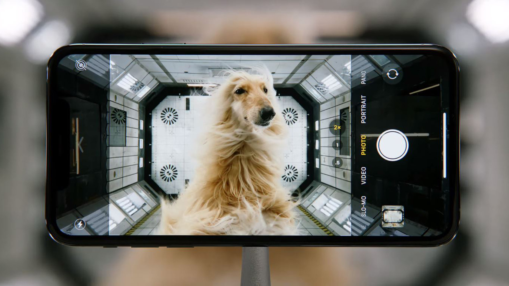 Собака с айфоном фото