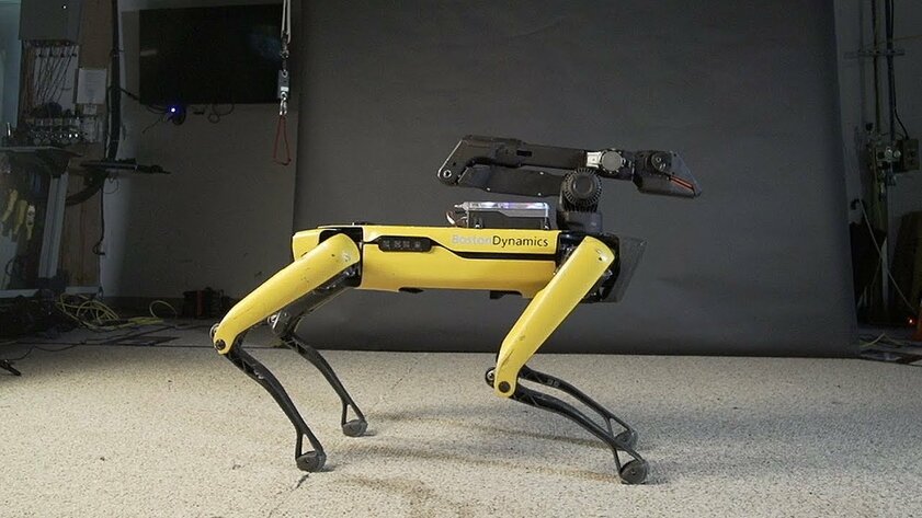 Американские полицейские пробуют в работе робопсов Boston Dynamics