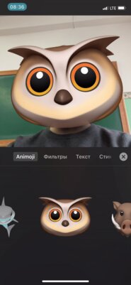 Как записать видео со смайликами Animoji и Memoji вместо головы