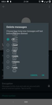 В WhatsApp появились исчезающие сообщения в персональных чатах