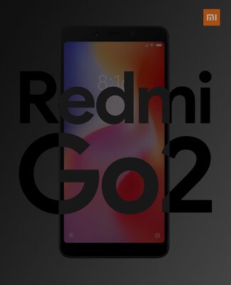 Xiaomi выпустят обновлённый Redmi Go вместе с MIUI 12 и Mi 10 Youth Edition