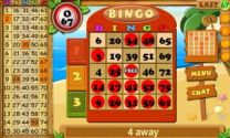 Bingo Island Live