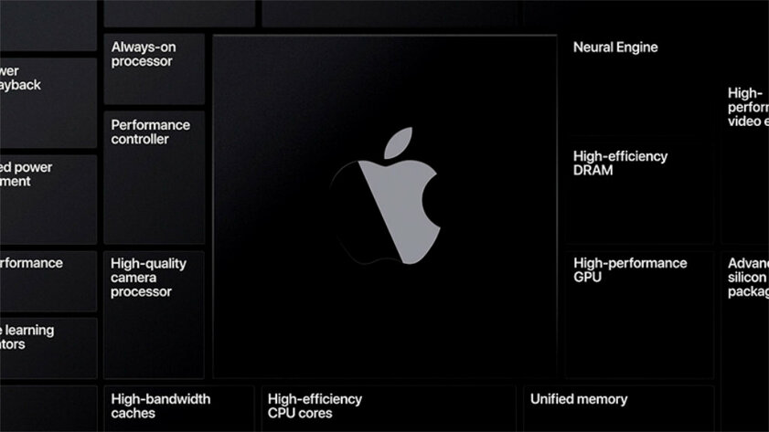Что Apple показала на WWDC 2020: iOS 14 и iPadOS 14, macOS 11 Big Sur, watchOS 7
