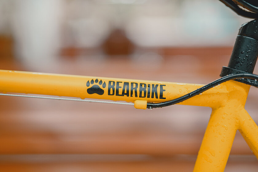 bear bike история бренда