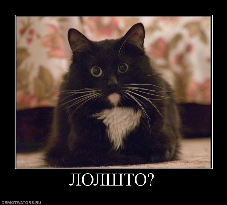 Мотивационные картинки смешные. Засранка прикол. Демы 80. Старая уфа инорс. Демы 80.