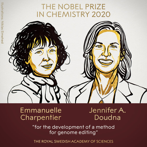 За что дали Нобелевскую премию 2020 по химии: как люди научились редактировать гены