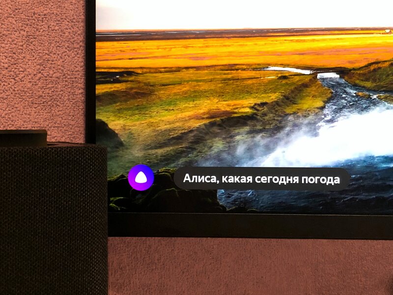 Год с Яндекс.Станцией: как умная колонка упростила мои домашние дела и отдых