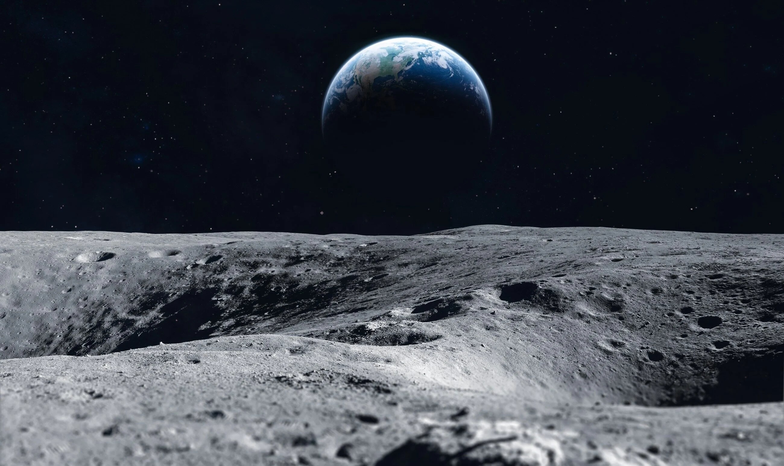 Роскосмос хочет отправить животных за пределы Земли для подготовки к полётам на Луну