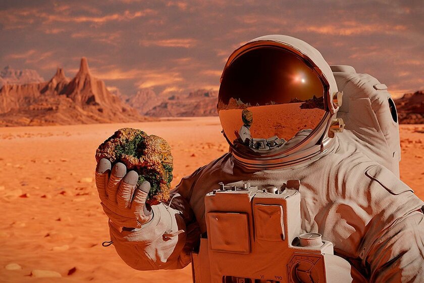 На красной корке с поверхности Марса обнаружили первые признаки жизни