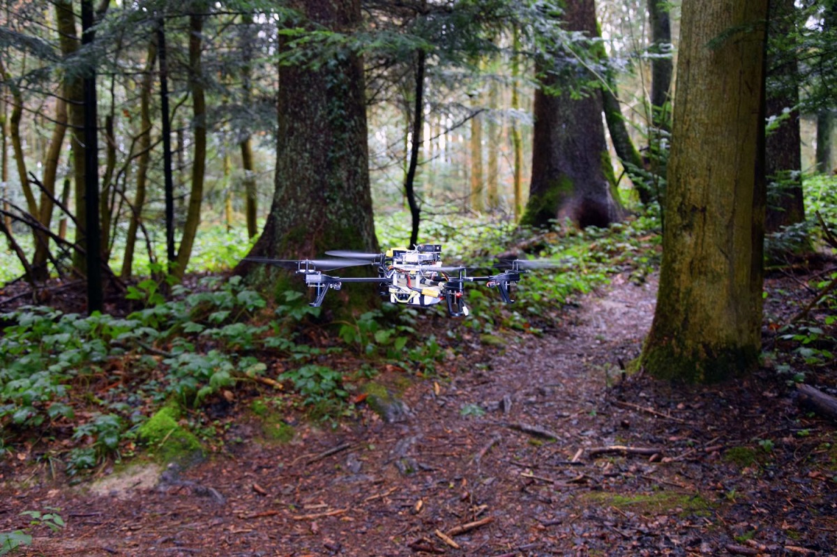 Квадрокоптер в лесу