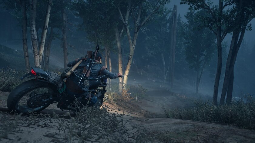 Самый недооценённый «эксклюзив» Sony: почему стоит поиграть в Days Gone на ПК