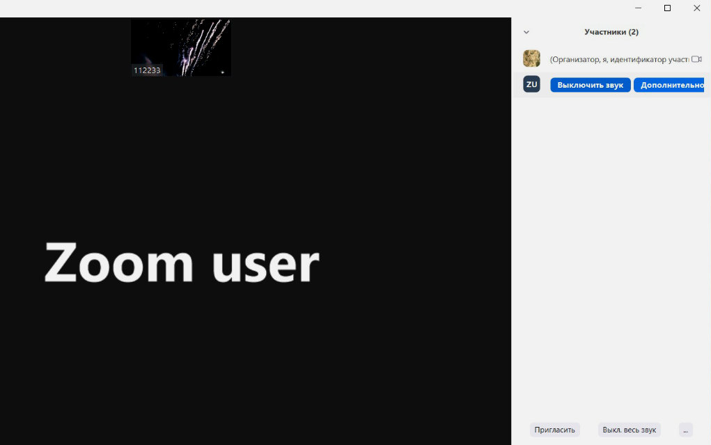 Используем Zoom на 100%: 10 скрытых возможностей, о которых мало кто знает