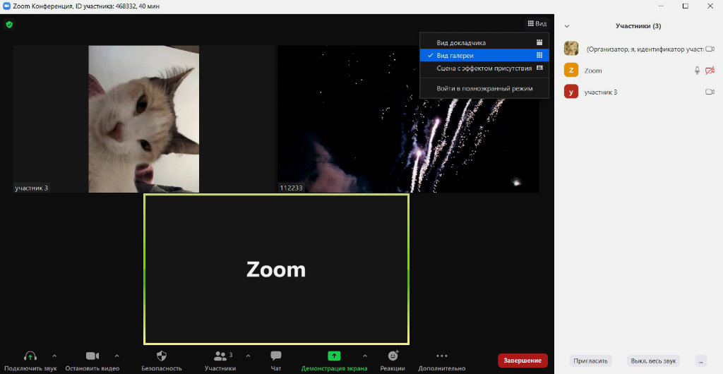 Используем Zoom на 100%: 10 скрытых возможностей, о которых мало кто знает