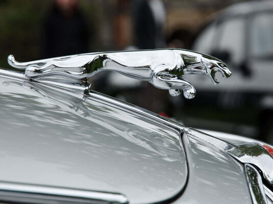 10 самых узнаваемых автомобильных маскотов — фигурок-талисманов на капотах машин — Прыгающий ягуар у Jaguar. 1