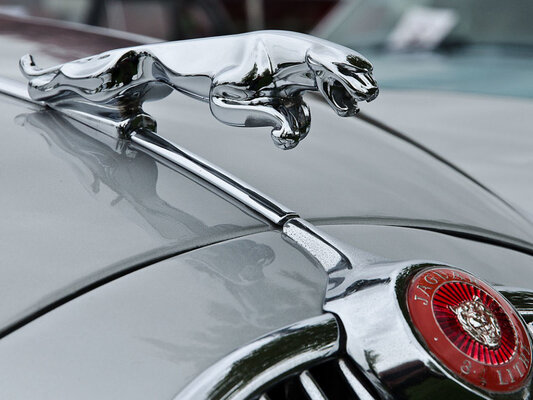 10 самых узнаваемых автомобильных маскотов — фигурок-талисманов на капотах машин — Прыгающий ягуар у Jaguar. 3