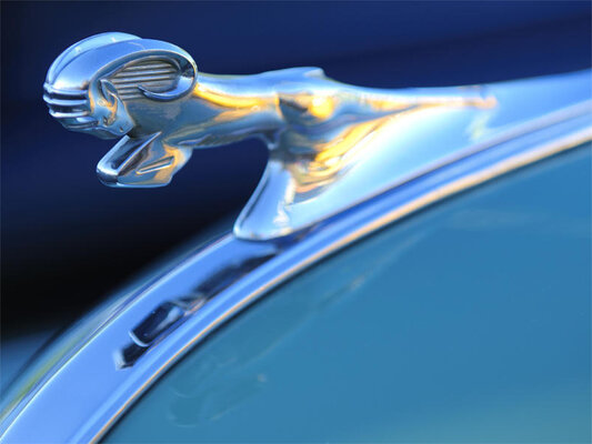 10 самых узнаваемых автомобильных маскотов — фигурок-талисманов на капотах машин — Баран у Dodge. 1