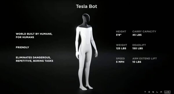 Робот-гуманоид Tesla Bot будет ходить в магазин и служить человеку