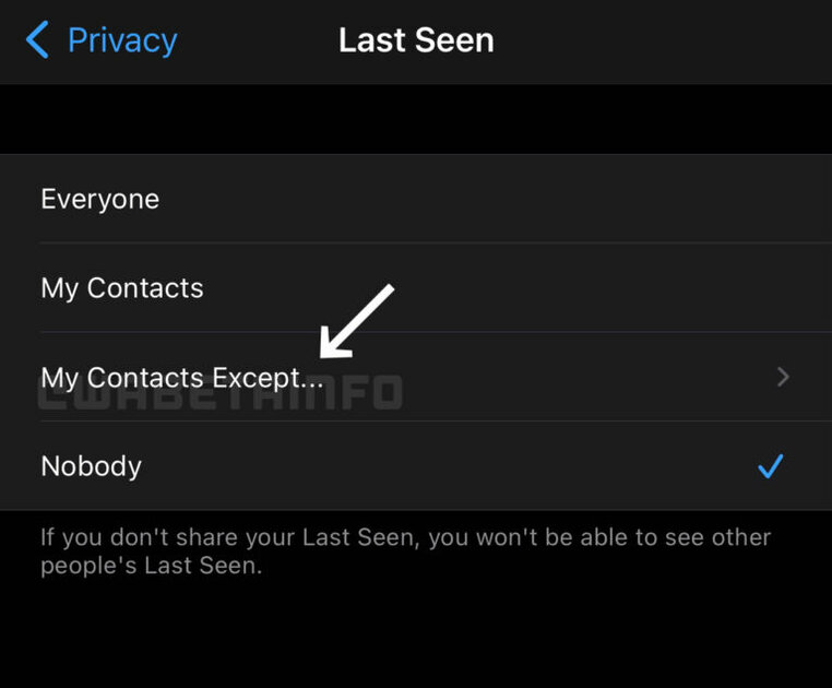 В WhatsApp можно будет скрывать статус последнего посещения от определённых контактов