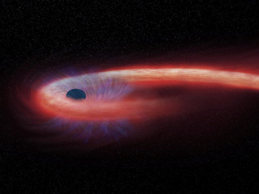 Что общего у черных дыр и спагетти: космические факты о них, открытые за последний год