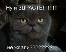 aleksandrdysuk9