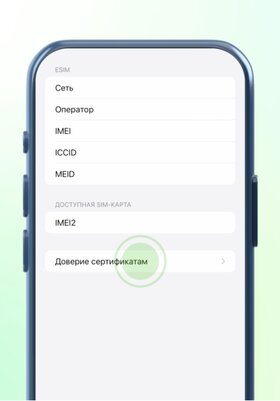Как установить российские сертификаты на Android, Windows, iPhone и macOS — Установка на iOS (iPhone и iPad). 9