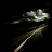 Dark_highway