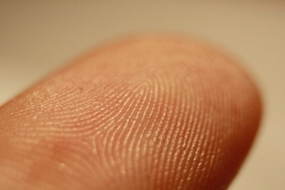 Как это работает: сканер отпечатков пальцев