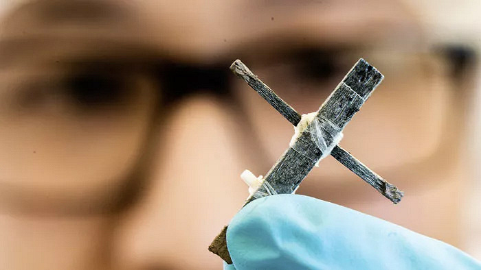 Учёные разработали деревянный транзистор: ещё один шаг к биоразлагаемой электронике