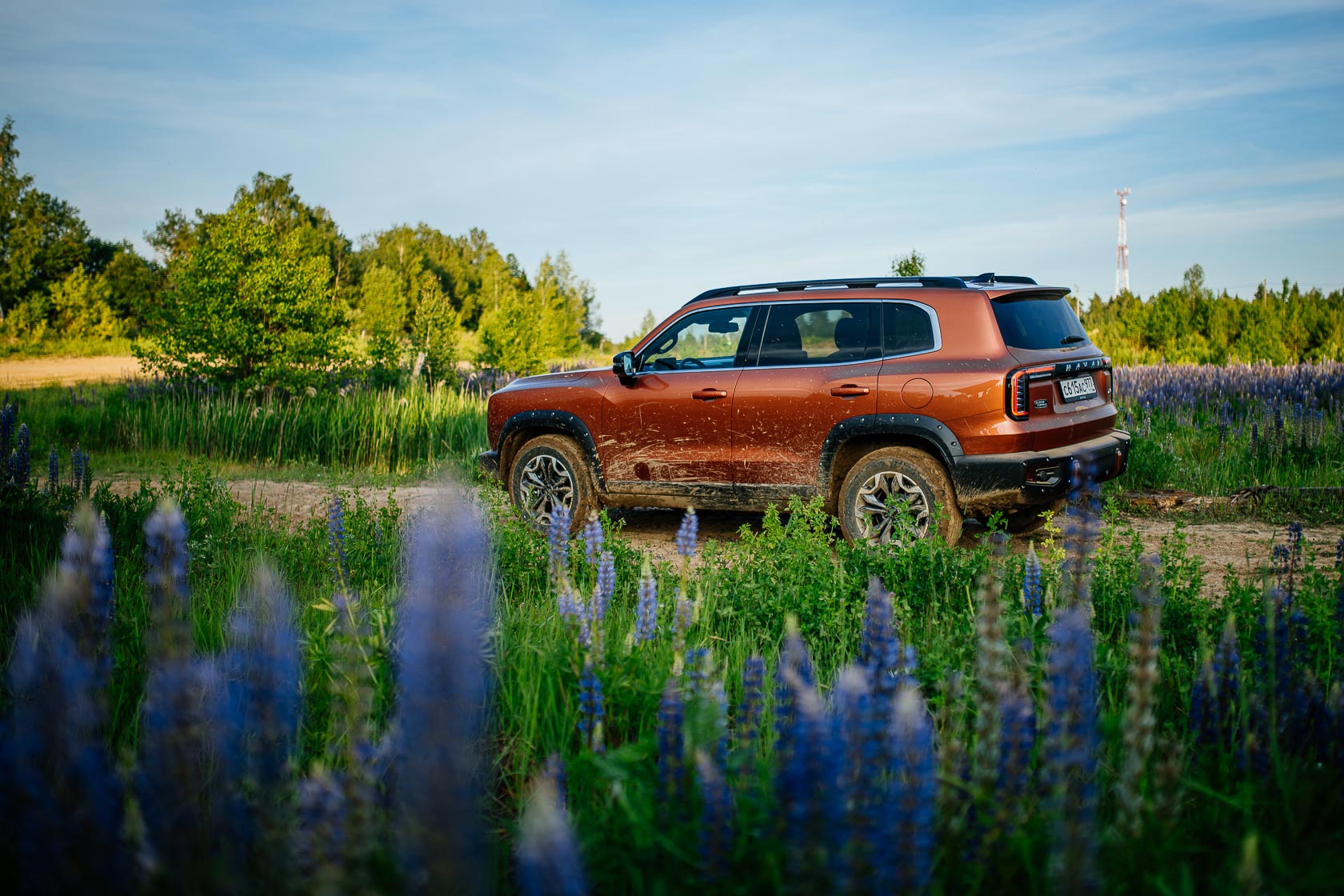 X — это когда ради одной кнопки выпускают новую модель. Обзор Haval Dargo X