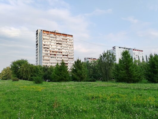 Чемпионская зарядка и много памяти в тонком корпусе: первый взгляд на realme C53 — ИИ-камера на 50 Мп. 6