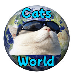 KneoWorld