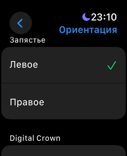 Обзор Apple Watch Ultra 2 Black 2024. А король-то голый! — Операционная система. 16