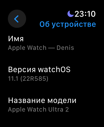 Обзор Apple Watch Ultra 2 Black 2024. А король-то голый! — Операционная система. 24