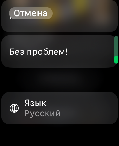 Обзор Apple Watch Ultra 2 Black 2024. А король-то голый! — фишки и опыт спустя две недели использования. 16