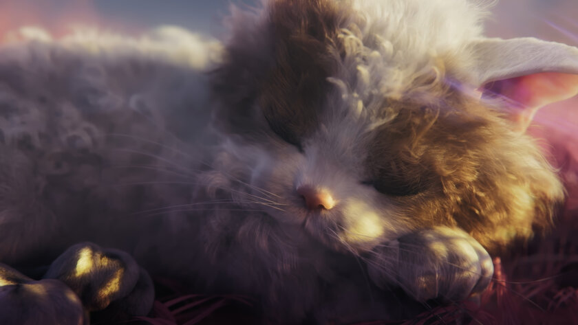 Реалистичные кошки — посмотрите. Создателям Catly пришлось доказывать её настоящность, им не верили
