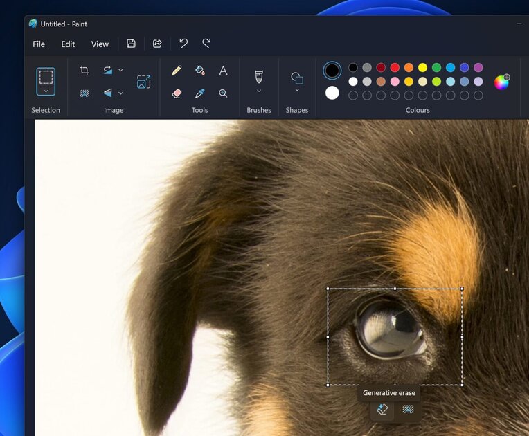 Пользователям Windows 11 стал доступен ИИ-ластик в редакторе Paint: как работает