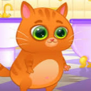 Bubbu