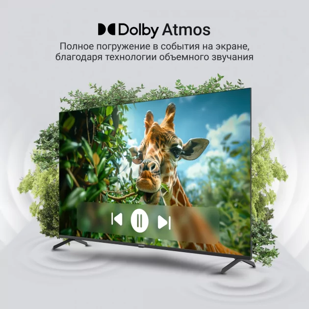 Большой, с приятной картинкой и адекватной ценой: обзор QLED Digma 65" DM-LED65UQB31