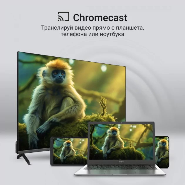 Большой, с приятной картинкой и адекватной ценой: обзор QLED Digma 65" DM-LED65UQB31