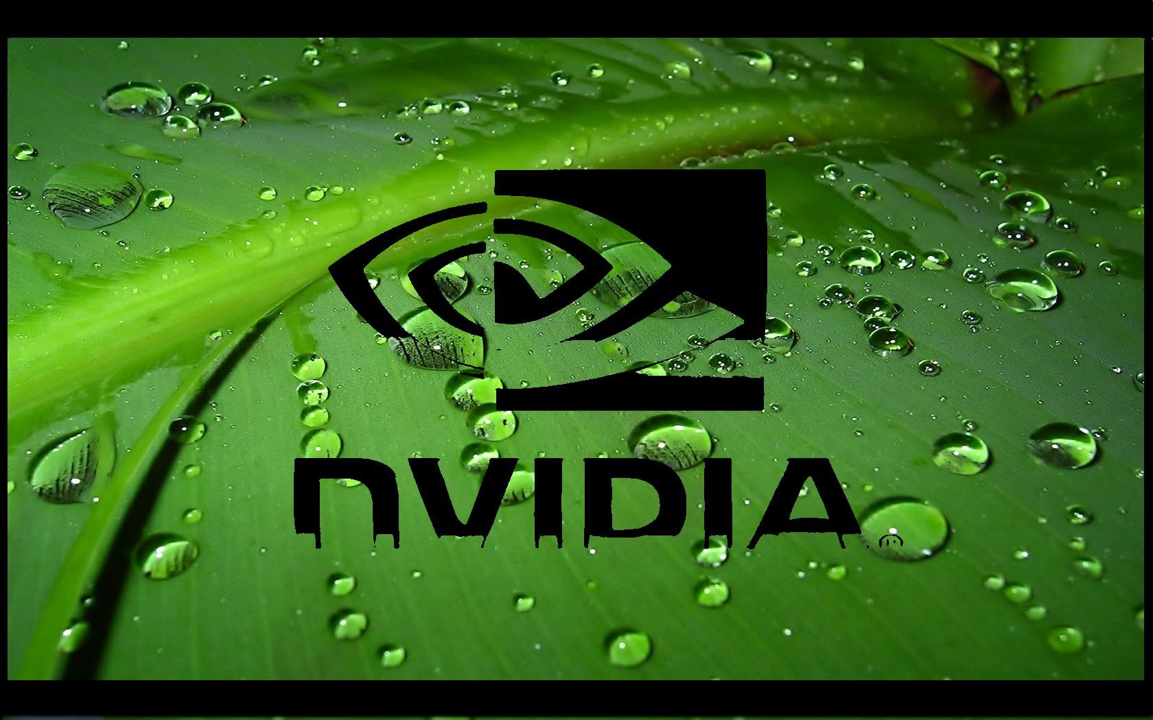 Презентация о компании nvidia