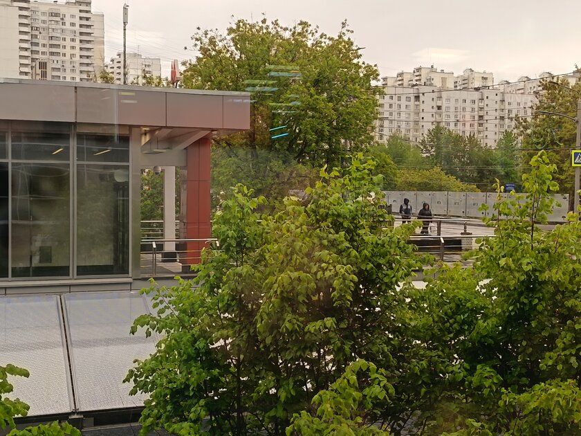 ИИ-кнопка камеры, яркий дизайн и добротное «железо»: обзор недорогого HONOR 400 Lite — Качество снимков. 5