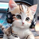 KittenPlay