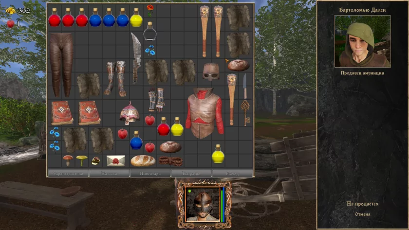 Российская игра в духе олдовых RPG. Обзор «Струны судьбы XI: Волшебный сон»